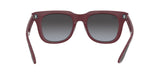 RAY BAN Powderhorn RB436865248G51  Unisex