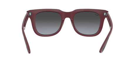 RAY BAN Powderhorn RB436865248G51  Unisex