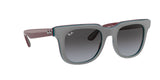 RAY BAN Powderhorn RB436865248G51  Unisex