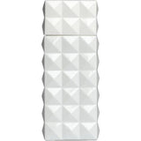 Blanc Pour Femme Edp 100ml Mujer S.T. Dupont