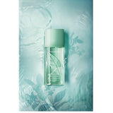 Green Tea Tester Elizabeth Arden Edt 100Ml Mujer