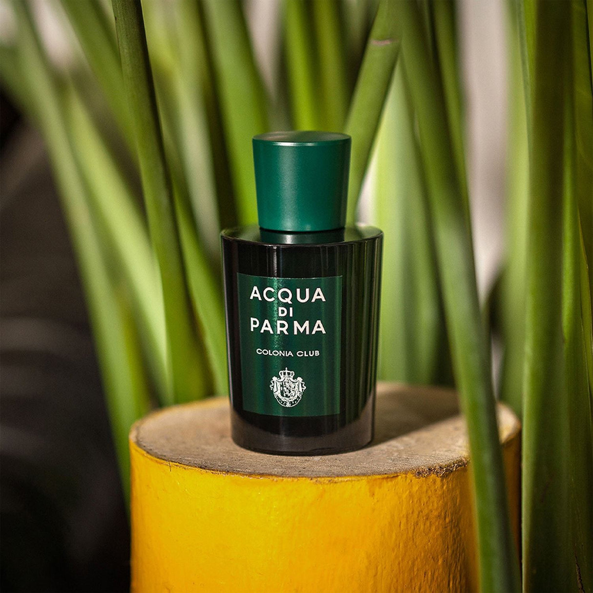 Acqua Di Parma Colonia Club Edc 50ml Hombre
