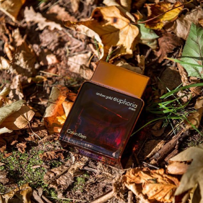 Amber gold euphoria men shop